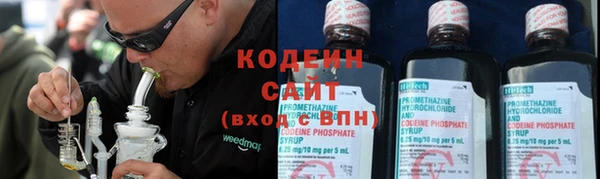 тгк Арсеньев