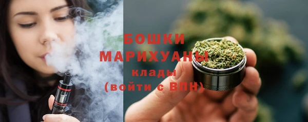 тгк Арсеньев