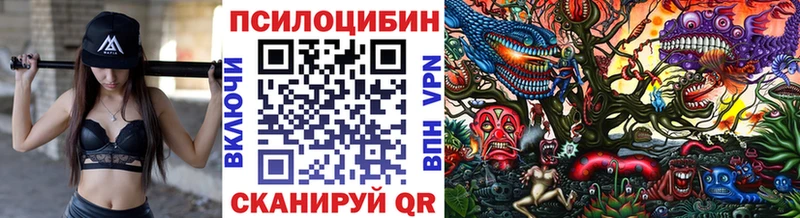 Галлюциногенные грибы GOLDEN TEACHER  сайты даркнета какой сайт  Аркадак 